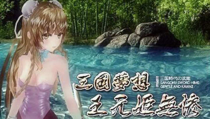 三国梦想：王元姫無惨 官方中文版 同人ARPG游戏 补 3.8G